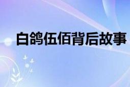 白鴿伍佰背后故事（白鴿 伍佰個(gè)人專輯）