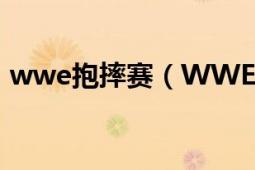 wwe抱摔賽（WWE美摔100分是不是騙人）