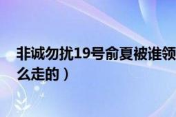 非誠(chéng)勿擾19號(hào)俞夏被誰領(lǐng)走了（非誠(chéng)勿擾19號(hào)俞夏呢.是怎么走的）