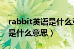 rabbit英語是什么意思（英文BANIRABBIT是什么意思）