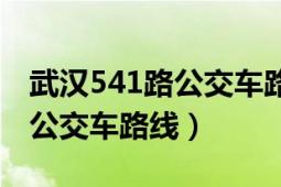 武漢541路公交車路線時間查詢（武漢541路公交車路線）