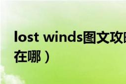 lost winds圖文攻略（lostwinds2攻略國王在哪）