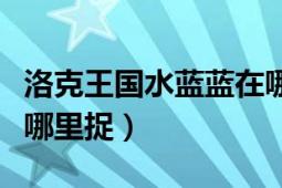 洛克王國(guó)水藍(lán)藍(lán)在哪里抓（洛克王國(guó)水藍(lán)藍(lán)在哪里捉）