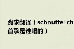 跪求翻譯（schnuffel chenparty 中文是什么意思 還有這首歌是誰唱的）