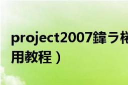 project2007鍏ラ棬（中文版Project2007實用教程）