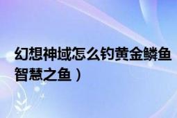 幻想神域怎么釣黃金鱗魚（幻想神域自動(dòng)釣魚為什么釣不了智慧之魚）