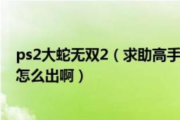 ps2大蛇無雙2（求助高手告訴我PSP版無雙大蛇2的孫悟空怎么出?。?></div></a><div   id=