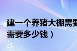 建一個(gè)養(yǎng)豬大棚需要多少錢(qián)（建一個(gè)養(yǎng)豬大棚需要多少錢(qián)）