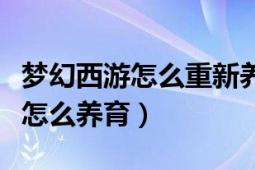 夢幻西游怎么重新養(yǎng)育孩子（夢幻西游新孩子怎么養(yǎng)育）