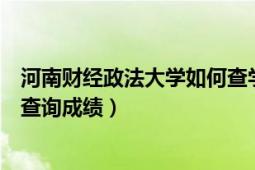 河南財經(jīng)政法大學如何查學生成績（河南財經(jīng)政法大學如何查詢成績）