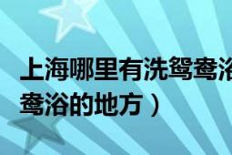 上海哪里有洗鴛鴦浴的地方（上海哪里有洗鴛鴦浴的地方）