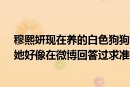 穆熙妍現(xiàn)在養(yǎng)的白色狗狗toffy品種是什么（記得是混種的她好像在微博回答過求準(zhǔn)確答案狗的圖片見下）