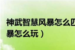 神武智慧風(fēng)暴怎么匹配到自己號(hào)（神武智慧風(fēng)暴怎么玩）