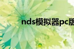 nds模擬器pc版（nds模擬器2.6）