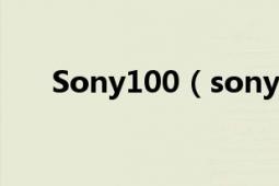 Sony100（sonyd100是金屬機(jī)身嗎）