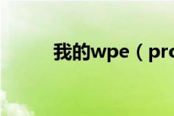 我的wpe（pro為什么不能運(yùn)行）