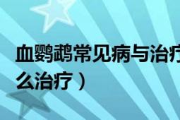 血鸚鵡常見病與治療方法（血鸚鵡魚常見病怎么治療）