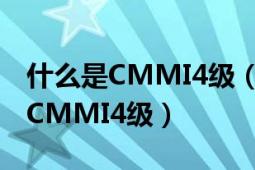 什么是CMMI4級（是不是所有企業(yè)都適合做CMMI4級）