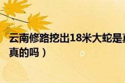 云南修路挖出18米大蛇是真的嗎（玉溪修路挖出兩條大蛇是真的嗎）