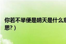 你若不舉便是晴天是什么意思（你若不舉,便是晴天是什么意思?）