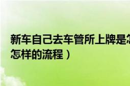 新車自己去車管所上牌是怎樣的（新車自己去車管所上牌是怎樣的流程）