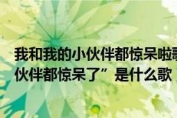 我和我的小伙伴都驚呆啦歌詞（有首歌詞里有“我和我的小伙伴都驚呆了”是什么歌）