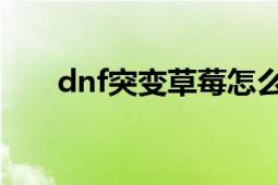 dnf突變草莓怎么獲得（哪里爆率高）