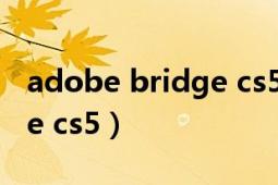 adobe bridge cs5干什么的（adobe bridge cs5）