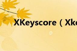 XKeyscore（Xkeyscore計劃的內(nèi)容）