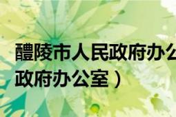 醴陵市人民政府辦公室正副主任（醴陵市人民政府辦公室）