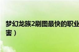 夢(mèng)幻龍族2刷圖最快的職業(yè)（夢(mèng)幻龍族2后期什么職業(yè)刷圖厲害）