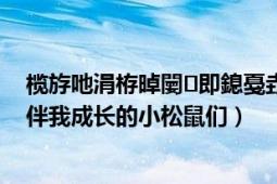 欖斿吔涓栫晫闄即鎴戞垚闀跨殑灝忔澗榧犱滑（WOW陪伴我成長(zhǎng)的小松鼠們）