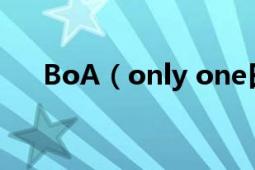 BoA（only one日文版中文音譯歌詞）