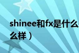 shinee和fx是什么關(guān)系（shinee和fx前景怎么樣）